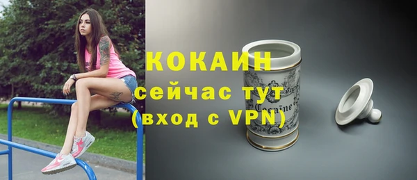 apvp Армянск