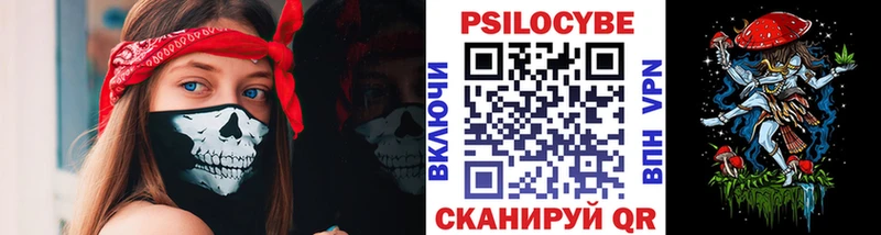 хочу наркоту  Мончегорск  кракен зеркало  Псилоцибиновые грибы Psilocybe 
